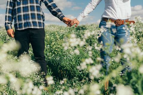 ensaio pré wedding daniela radavelli fotografia ensaio de casal fotos rurais ensaio pré casamento ensaio com vacas vacas pastando ensaio no campo '