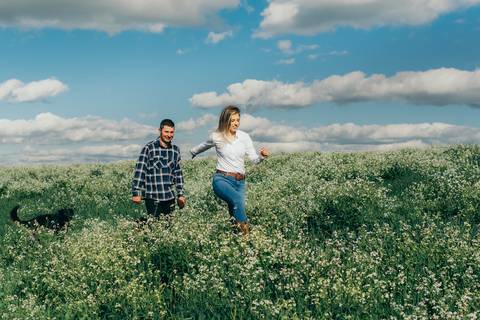 ensaio pré wedding daniela radavelli fotografia ensaio de casal fotos rurais ensaio pré casamento ensaio com vacas vacas pastando ensaio no campo '