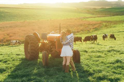 ensaio pré wedding daniela radavelli fotografia ensaio de casal fotos rurais ensaio pré casamento ensaio com vacas vacas pastando ensaio no campo '
