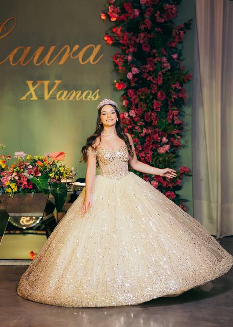 festa 15 anos daniela radavelli fotografia fotos de 15 anos fotografa de 15 anos  debutante fotos de debutante vestido de 15 anos festa de 15 anos princesa make de 15 anos'