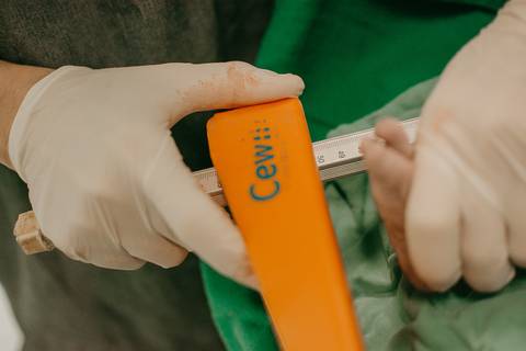 franciele duailibi photography; 
fotografia de gestante cg
fotografia de parto campo grande;
fotografia de gravida; 
maternidade;  gravida em campo grande
franciele duailibi; fotos de nascimento de bebe; 
ensaio gestante em campo grande'