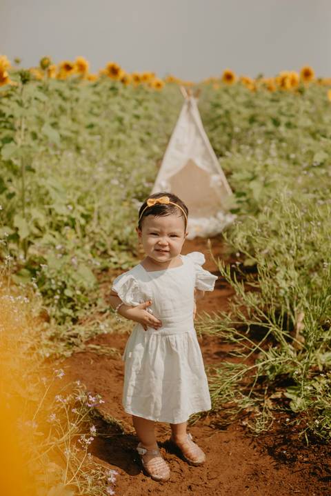 ensaio familia 2 aninhos, ensaio familia no girassol,  fotos de familia no girassol., campo de girasol em campo grande, ensaio bebe 2 aninhos no girassol, fotografo em campo grande; fotos de familia em campo grande; ensaio de gravida em campo grande'