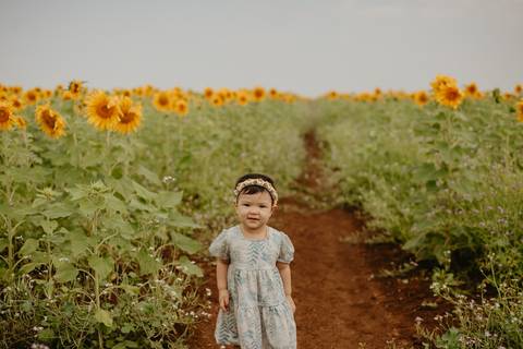 ensaio familia 2 aninhos, ensaio familia no girassol,  fotos de familia no girassol., campo de girasol em campo grande, ensaio bebe 2 aninhos no girassol, fotografo em campo grande; fotos de familia em campo grande; ensaio de gravida em campo grande'