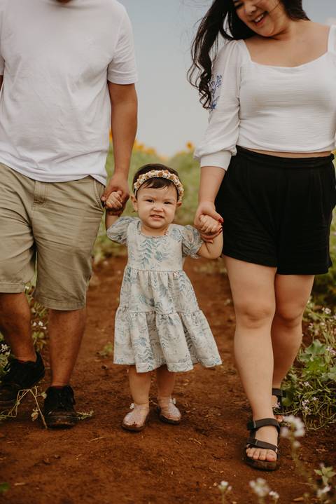 ensaio familia 2 aninhos, ensaio familia no girassol,  fotos de familia no girassol., campo de girasol em campo grande, ensaio bebe 2 aninhos no girassol, fotografo em campo grande; fotos de familia em campo grande; ensaio de gravida em campo grande'