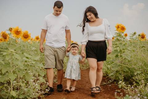 ensaio familia 2 aninhos, ensaio familia no girassol,  fotos de familia no girassol., campo de girasol em campo grande, ensaio bebe 2 aninhos no girassol, fotografo em campo grande; fotos de familia em campo grande; ensaio de gravida em campo grande'