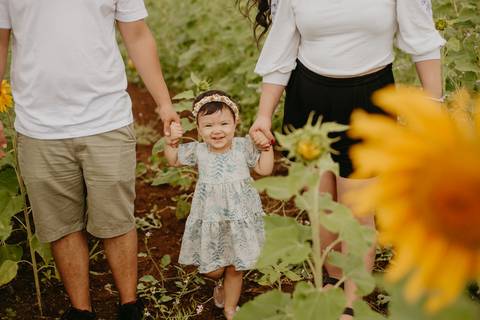 ensaio familia 2 aninhos, ensaio familia no girassol,  fotos de familia no girassol., campo de girasol em campo grande, ensaio bebe 2 aninhos no girassol, fotografo em campo grande; fotos de familia em campo grande; ensaio de gravida em campo grande'