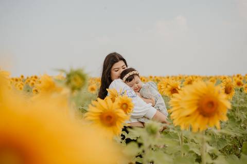 ensaio familia 2 aninhos, ensaio familia no girassol,  fotos de familia no girassol., campo de girasol em campo grande, ensaio bebe 2 aninhos no girassol, fotografo em campo grande; fotos de familia em campo grande; ensaio de gravida em campo grande'