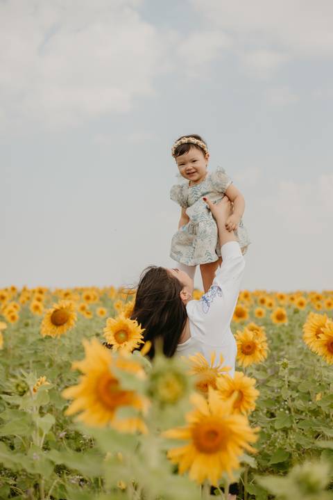 ensaio familia 2 aninhos, ensaio familia no girassol,  fotos de familia no girassol., campo de girasol em campo grande, ensaio bebe 2 aninhos no girassol, fotografo em campo grande; fotos de familia em campo grande; ensaio de gravida em campo grande'