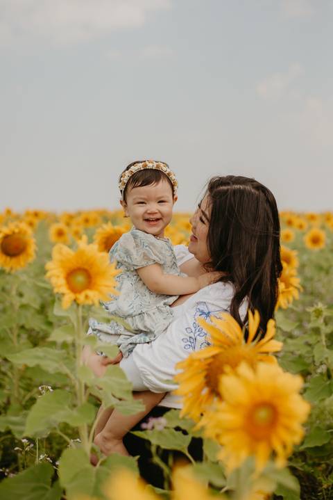 ensaio familia 2 aninhos, ensaio familia no girassol,  fotos de familia no girassol., campo de girasol em campo grande, ensaio bebe 2 aninhos no girassol, fotografo em campo grande; fotos de familia em campo grande; ensaio de gravida em campo grande'