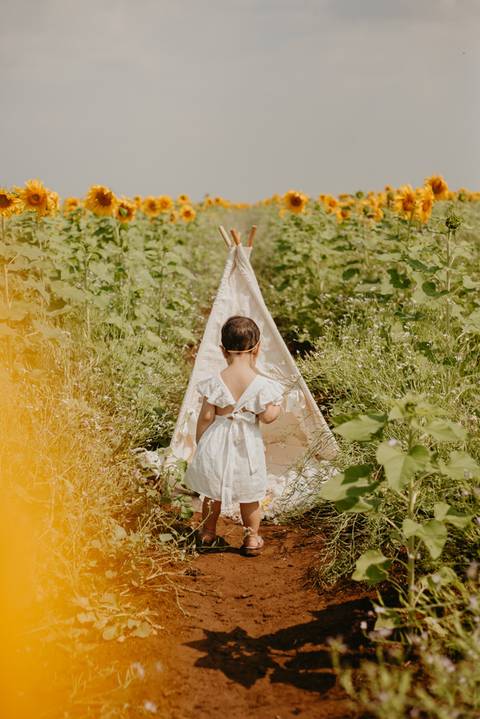 ensaio familia 2 aninhos, ensaio familia no girassol,  fotos de familia no girassol., campo de girasol em campo grande, ensaio bebe 2 aninhos no girassol, fotografo em campo grande; fotos de familia em campo grande; ensaio de gravida em campo grande'