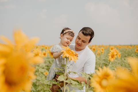 ensaio familia 2 aninhos, ensaio familia no girassol,  fotos de familia no girassol., campo de girasol em campo grande, ensaio bebe 2 aninhos no girassol, fotografo em campo grande; fotos de familia em campo grande; ensaio de gravida em campo grande'