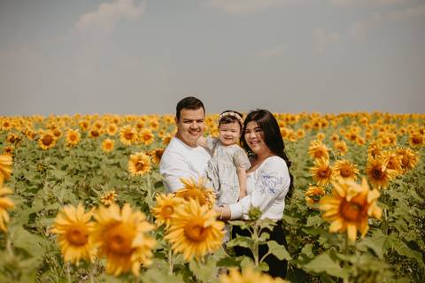 ensaio familia 2 aninhos, ensaio familia no girassol,  fotos de familia no girassol., campo de girasol em campo grande, ensaio bebe 2 aninhos no girassol, fotografo em campo grande; fotos de familia em campo grande; ensaio de gravida em campo grande'