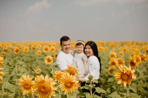 ensaio familia 2 aninhos, ensaio familia no girassol,  fotos de familia no girassol., campo de girasol em campo grande, ensaio bebe 2 aninhos no girassol, fotografo em campo grande; fotos de familia em campo grande; ensaio de gravida em campo grande'
