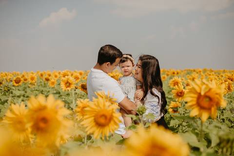 ensaio familia 2 aninhos, ensaio familia no girassol,  fotos de familia no girassol., campo de girasol em campo grande, ensaio bebe 2 aninhos no girassol, fotografo em campo grande; fotos de familia em campo grande; ensaio de gravida em campo grande'