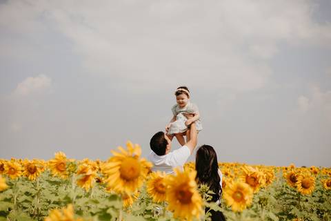 ensaio familia 2 aninhos, ensaio familia no girassol,  fotos de familia no girassol., campo de girasol em campo grande, ensaio bebe 2 aninhos no girassol, fotografo em campo grande; fotos de familia em campo grande; ensaio de gravida em campo grande'