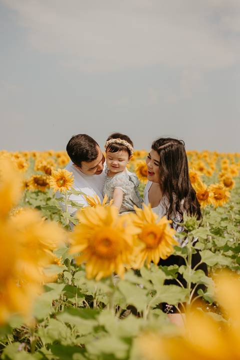 ensaio familia 2 aninhos, ensaio familia no girassol,  fotos de familia no girassol., campo de girasol em campo grande, ensaio bebe 2 aninhos no girassol, fotografo em campo grande; fotos de familia em campo grande; ensaio de gravida em campo grande'
