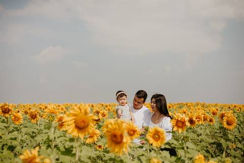 ensaio familia 2 aninhos, ensaio familia no girassol,  fotos de familia no girassol., campo de girasol em campo grande, ensaio bebe 2 aninhos no girassol, fotografo em campo grande; fotos de familia em campo grande; ensaio de gravida em campo grande'