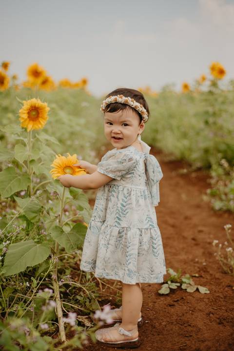 ensaio familia 2 aninhos, ensaio familia no girassol,  fotos de familia no girassol., campo de girasol em campo grande, ensaio bebe 2 aninhos no girassol, fotografo em campo grande; fotos de familia em campo grande; ensaio de gravida em campo grande'