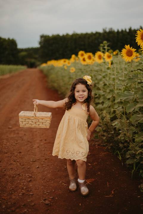 ensaio familia 4 aninhos, ensaio familia no girassol,  fotos de familia no girassol., campo de girasol em campo grande, ensaio bebe 2 aninhos no girassol, fotografo em campo grande; fotos de familia em campo grande; ensaio de gravida em campo grande'