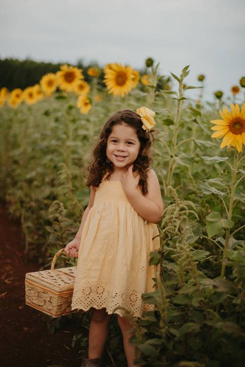 ensaio familia 4 aninhos, ensaio familia no girassol,  fotos de familia no girassol., campo de girasol em campo grande, ensaio bebe 2 aninhos no girassol, fotografo em campo grande; fotos de familia em campo grande; ensaio de gravida em campo grande'