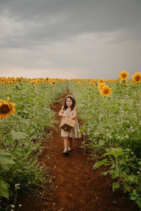 ensaio familia 4 aninhos, ensaio familia no girassol,  fotos de familia no girassol., campo de girasol em campo grande, ensaio bebe 2 aninhos no girassol, fotografo em campo grande; fotos de familia em campo grande; ensaio de gravida em campo grande'