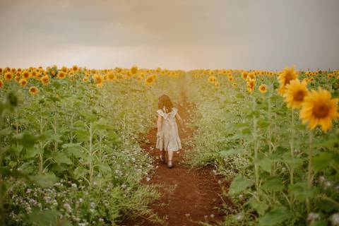 ensaio familia 4 aninhos, ensaio familia no girassol,  fotos de familia no girassol., campo de girasol em campo grande, ensaio bebe 2 aninhos no girassol, fotografo em campo grande; fotos de familia em campo grande; ensaio de gravida em campo grande'