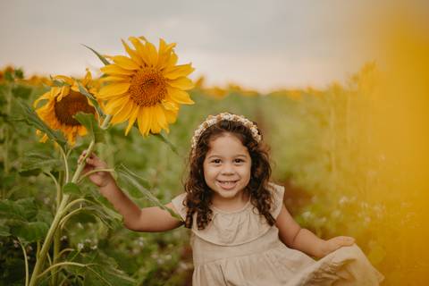 ensaio familia 4 aninhos, ensaio familia no girassol,  fotos de familia no girassol., campo de girasol em campo grande, ensaio bebe 2 aninhos no girassol, fotografo em campo grande; fotos de familia em campo grande; ensaio de gravida em campo grande'
