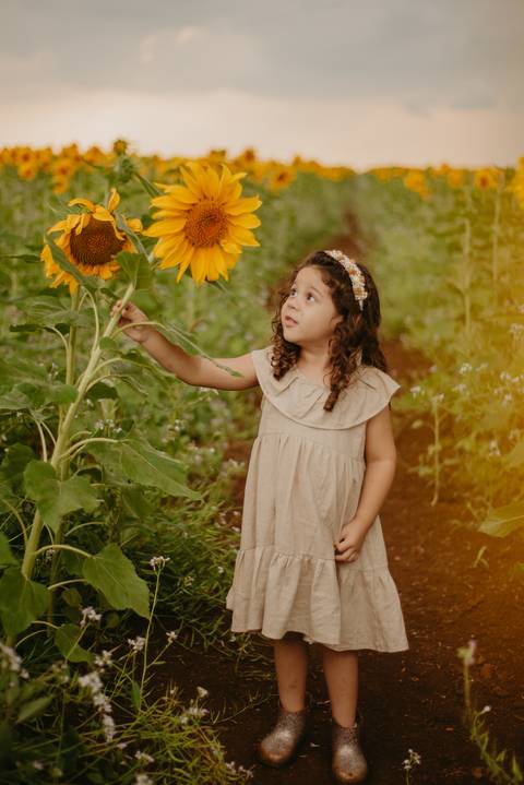 ensaio familia 4 aninhos, ensaio familia no girassol,  fotos de familia no girassol., campo de girasol em campo grande, ensaio bebe 2 aninhos no girassol, fotografo em campo grande; fotos de familia em campo grande; ensaio de gravida em campo grande'