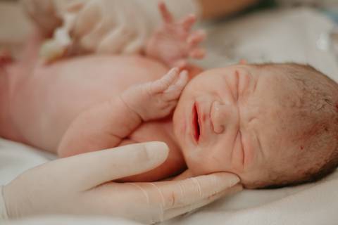 fotografia documental de parto normal, fotos de parto, parto normal em campo grande, nascimento de bebe, hospital Santa casa'