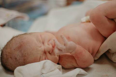 fotografia documental de parto normal, fotos de parto, parto normal em campo grande, nascimento de bebe, hospital Santa casa'