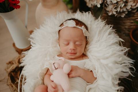 sessao newborn; newborn; campo grande; fotos fran duailibi; mae de menina; mae de menino; pai de menina; pai de menino newborn; ensaio newborn; fotos de recem nascido campo grande; fotografo em campo grande; recem nascido '