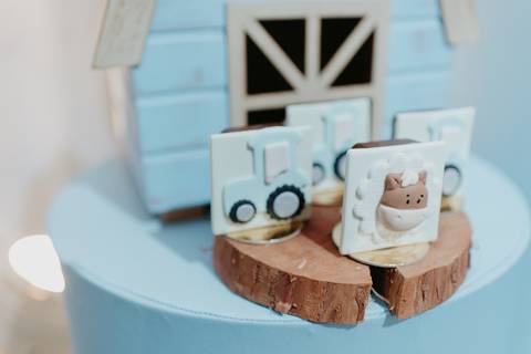 franciele duailibi fotografia; fotografia de festa infantil; festa infantil campo grande; campo grande; fotografia; decoração clean ; buffet infantil campo grande; fotografa de criança; fotos de aniversario; buffet infantil,'