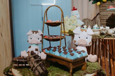 franciele duailibi fotografia; fotografia de festa infantil; festa infantil campo grande; campo grande; fotografia; decoração clean ; buffet infantil campo grande; fotografa de criança; fotos de aniversario; buffet infantil,'