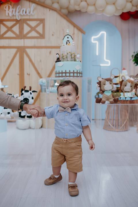 franciele duailibi fotografia; fotografia de festa infantil; festa infantil campo grande; campo grande; fotografia; decoração clean ; buffet infantil campo grande; fotografa de criança; fotos de aniversario; buffet infantil,'