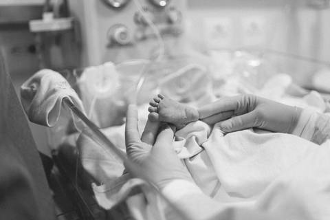 franciele duailibi photography; 
fotografia de gestante cg
fotografia de parto campo grande;
fotografia de gravida; 
maternidade;  gravida em campo grande
franciele duailibi; fotos de nascimento de bebe; 
ensaio gestante em campo grande'