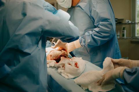 franciele duailibi photography; 
fotografia de gestante cg
fotografia de parto campo grande;
fotografia de gravida; 
maternidade;  gravida em campo grande
franciele duailibi; fotos de nascimento de bebe; 
ensaio gestante em campo grande'