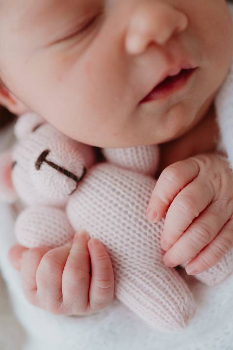 sessao newborn; newborn; campo grande; fotos fran duailibi; mae de menina; mae de menino; pai de menina; pai de menino newborn; ensaio newborn; fotos de recem nascido campo grande; fotografo em campo grande; recefm nascido '