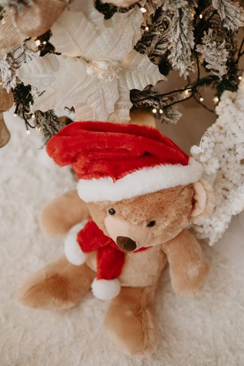 sessao de natal; ensaio de natal; sessão de natal campo grande ; mini sessao; fotos de natal; mini sessao natalina ; campo grande; fotografa em campo grande; sessao no estudio de natal ; franciele duailibi photography; cenario de natal; foto de bebe; '