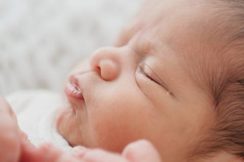 sessao newborn; newborn; campo grande; fotos fran duailibi; mae de menina; mae de menino; pai de menina; pai de menino newborn; ensaio newborn; fotos de recem nascido campo grande; fotografo em campo grande; recefm nascido '