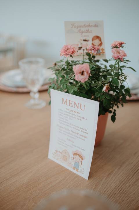 franciele duailibi fotografia; 

fotografo de festa infantil campo grande; campo grande; fotografia; decoração de festa; buffet infantil campo grande; fotografa de criança; fotos de aniversario; franciele duailibi; fotografo de festa cg'