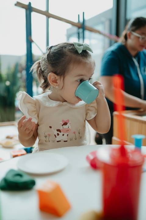 franciele duailibi fotografia; 

fotografo de festa infantil campo grande; campo grande; fotografia; decoração de festa; buffet infantil campo grande; fotografa de criança; fotos de aniversario; franciele duailibi; fotografo de festa cg'