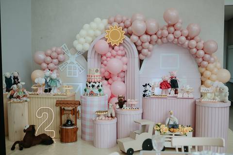 franciele duailibi fotografia; 

fotografo de festa infantil campo grande; campo grande; fotografia; decoração de festa; buffet infantil campo grande; fotografa de criança; fotos de aniversario; franciele duailibi; fotografo de festa cg'