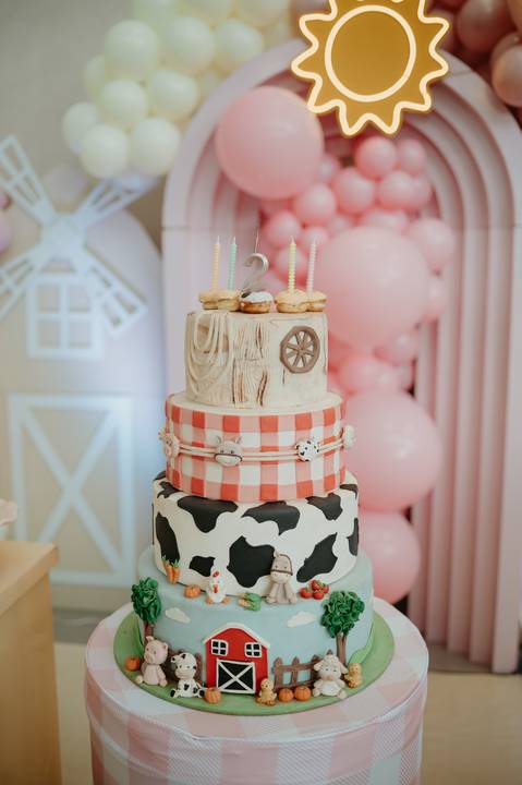 franciele duailibi fotografia; 

fotografo de festa infantil campo grande; campo grande; fotografia; decoração de festa; buffet infantil campo grande; fotografa de criança; fotos de aniversario; franciele duailibi; fotografo de festa cg'