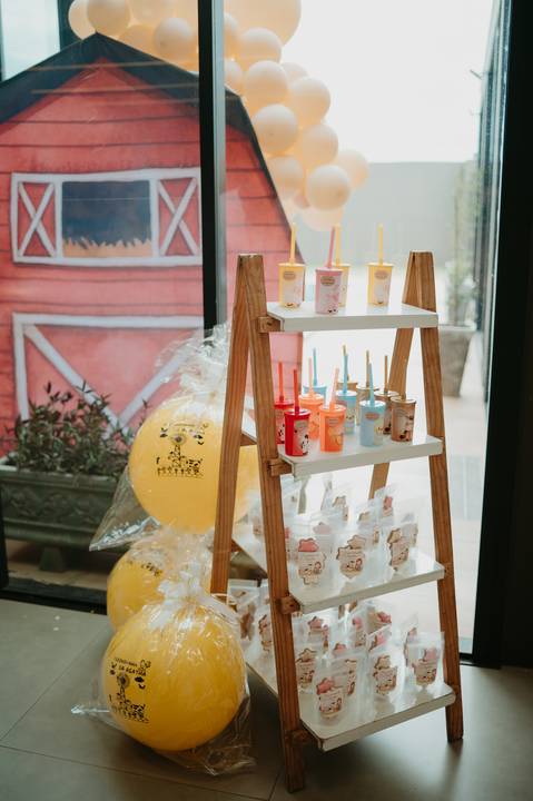 franciele duailibi fotografia; 

fotografo de festa infantil campo grande; campo grande; fotografia; decoração de festa; buffet infantil campo grande; fotografa de criança; fotos de aniversario; franciele duailibi; fotografo de festa cg'