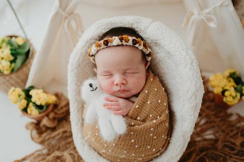 sessao newborn; newborn; campo grande; fotos fran duailibi; mae de menina; mae de menino; pai de menina; pai de menino newborn; ensaio newborn; fotos de recem nascido campo grande; fotografo em campo grande; recem nascido '