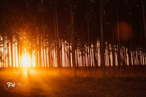 franciele duailibi photography; 
fotografia de gestante cg
fotografia de parto campo grande;
fotografia de gravida;
maternidade;  gravida em campo grande
fotos de nascimento;
franciele duailibi;
fotografo de parto cg; ensaio externo gravida cg'