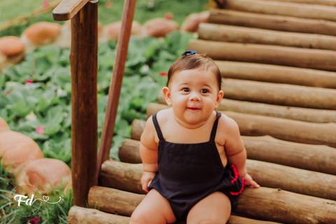 ensaio de acompanhamento de bebe; ensaio fotografico campo grande ; fotografo em campo grande; franciele duailibi photography; acompanhamento de bebe ; ensaio floricultura; campo grande ms ;  campo grande ; franciele duailibi; ensaio floricultura'