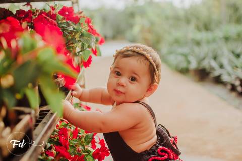 ensaio de acompanhamento de bebe; ensaio fotografico campo grande ; fotografo em campo grande; franciele duailibi photography; acompanhamento de bebe ; ensaio floricultura; campo grande ms ;  campo grande ; franciele duailibi; ensaio floricultura'