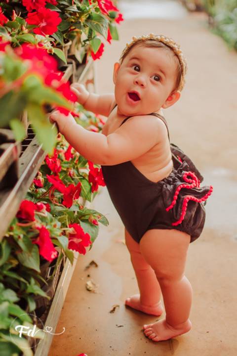 ensaio de acompanhamento de bebe; ensaio fotografico campo grande ; fotografo em campo grande; franciele duailibi photography; acompanhamento de bebe ; ensaio floricultura; campo grande ms ;  campo grande ; franciele duailibi; ensaio floricultura'