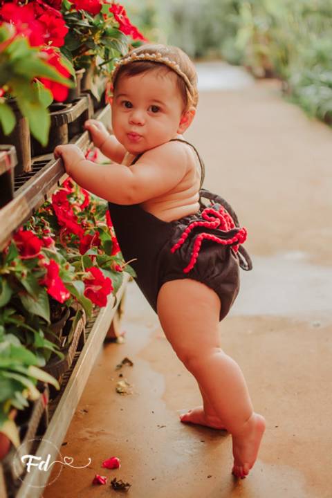 ensaio de acompanhamento de bebe; ensaio fotografico campo grande ; fotografo em campo grande; franciele duailibi photography; acompanhamento de bebe ; ensaio floricultura; campo grande ms ;  campo grande ; franciele duailibi; ensaio floricultura c'
